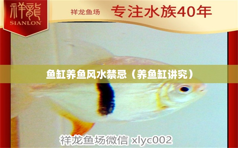 鱼缸养鱼风水禁忌（养鱼缸讲究） 鱼缸风水