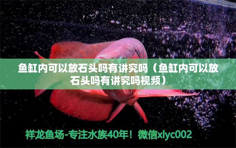 鱼缸内可以放石头吗有讲究吗（鱼缸内可以放石头吗有讲究吗视频） 其他品牌鱼缸