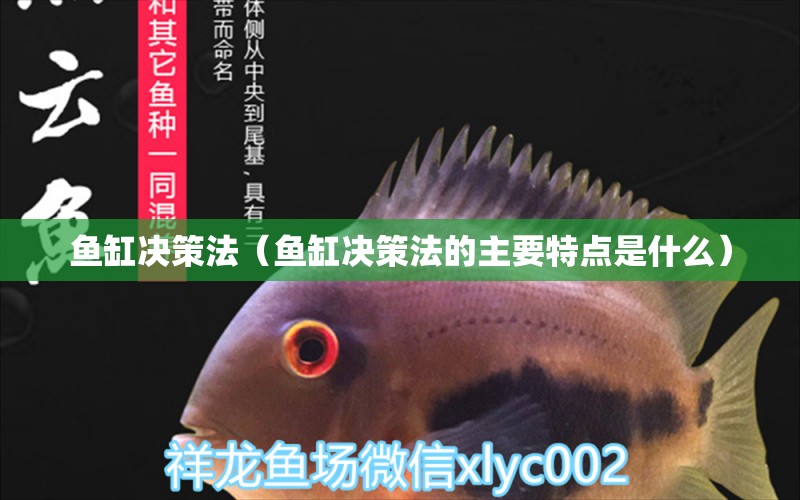 鱼缸决策法（鱼缸决策法的主要特点是什么） 祥龙水族医院