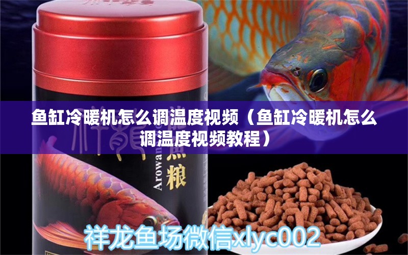 鱼缸冷暖机怎么调温度视频（鱼缸冷暖机怎么调温度视频教程） 苏虎苗（苏门答腊虎鱼苗）