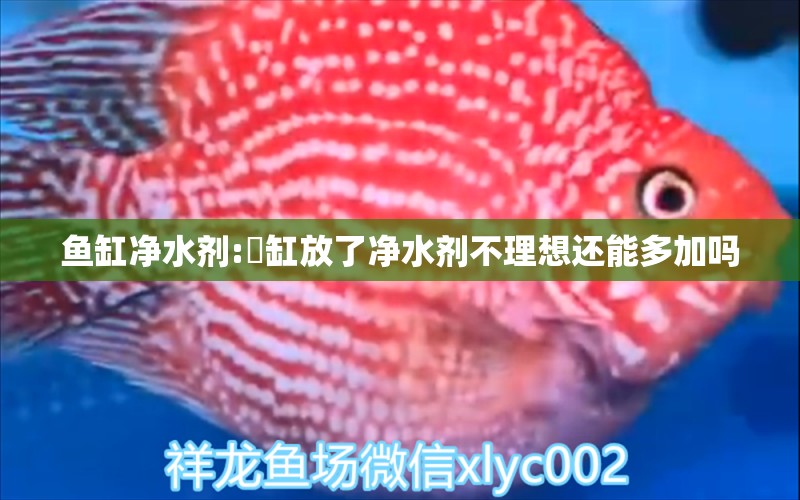 鱼缸净水剂:魚缸放了净水剂不理想还能多加吗