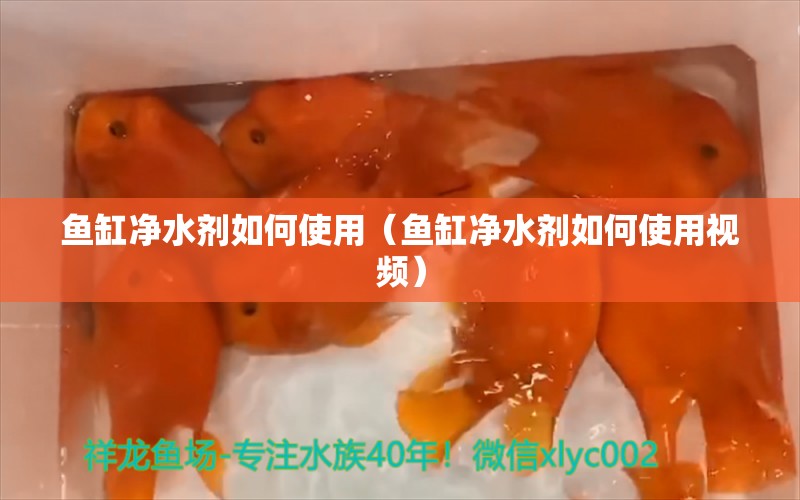 鱼缸净水剂如何使用（鱼缸净水剂如何使用视频） 除藻剂