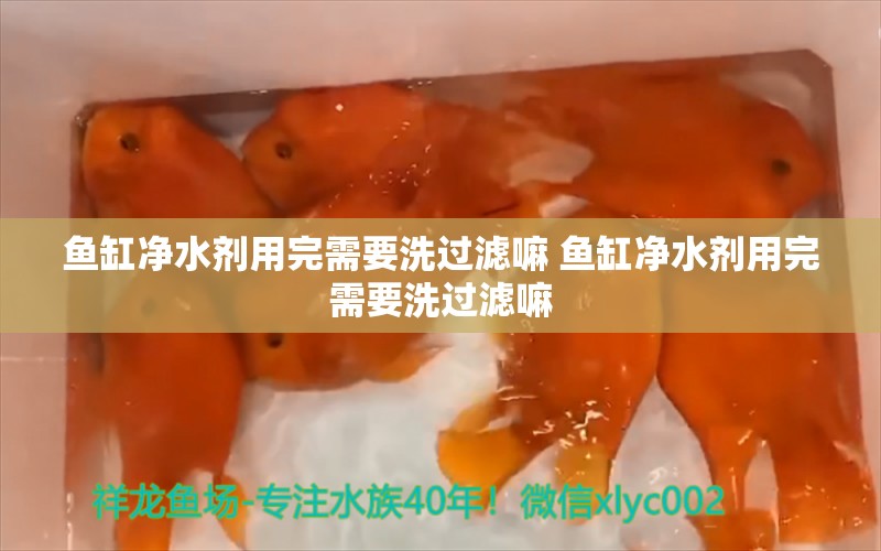 鱼缸净水剂用完需要洗过滤嘛 鱼缸净水剂用完需要洗过滤嘛