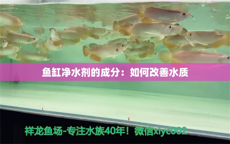 鱼缸净水剂的成分：如何改善水质 祥龙水族滤材/器材 第1张