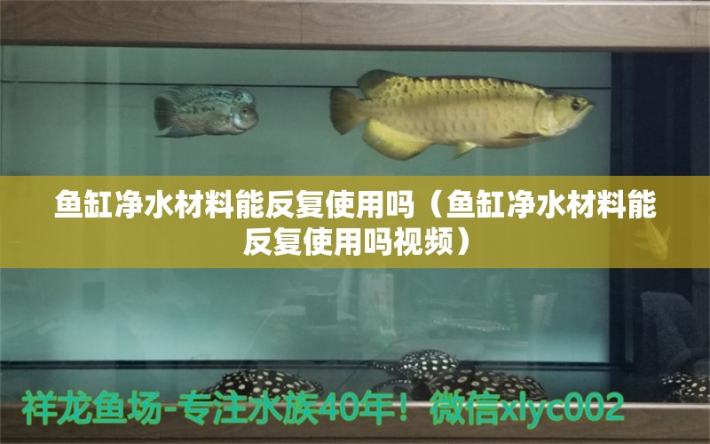 鱼缸净水材料能反复使用吗（鱼缸净水材料能反复使用吗视频） 祥龙水族医院