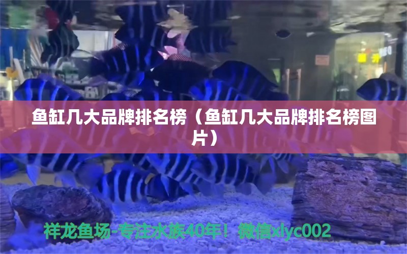 鱼缸几大品牌排名榜（鱼缸几大品牌排名榜图片）