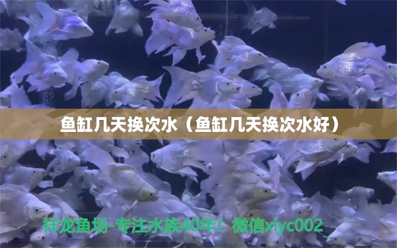 鱼缸几天换次水（鱼缸几天换次水好）