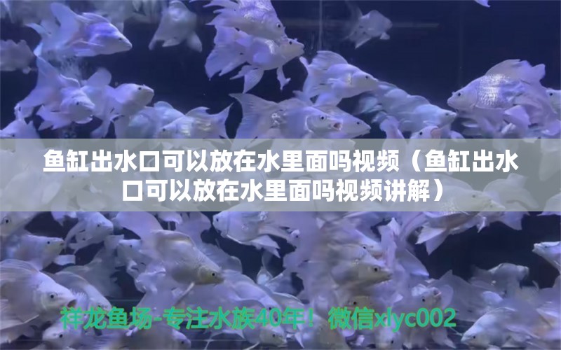 鱼缸出水口可以放在水里面吗视频（鱼缸出水口可以放在水里面吗视频讲解）