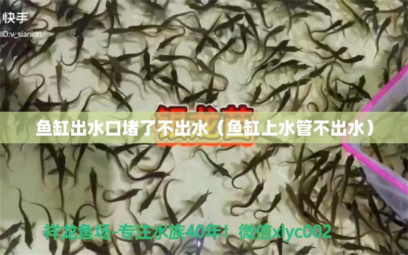 鱼缸出水口堵了不出水（鱼缸上水管不出水）