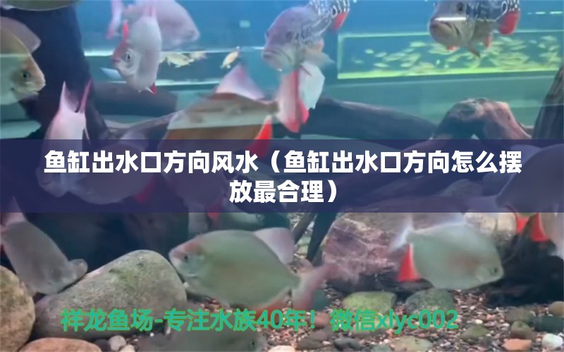 鱼缸出水口方向风水（鱼缸出水口方向怎么摆放最合理） 鱼缸风水