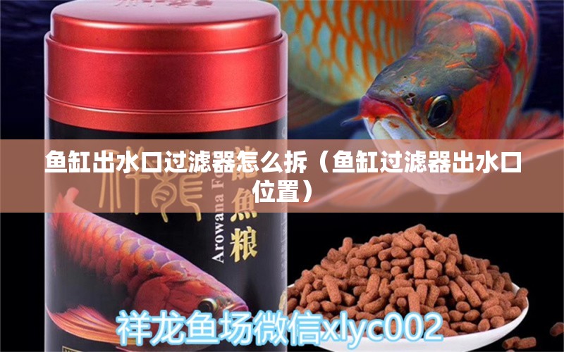 鱼缸出水口过滤器怎么拆（鱼缸过滤器出水口位置） 广州观赏鱼批发市场