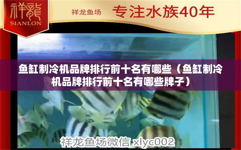 鱼缸制冷机品牌排行前十名有哪些（鱼缸制冷机品牌排行前十名有哪些牌子） 祥龙水族医院