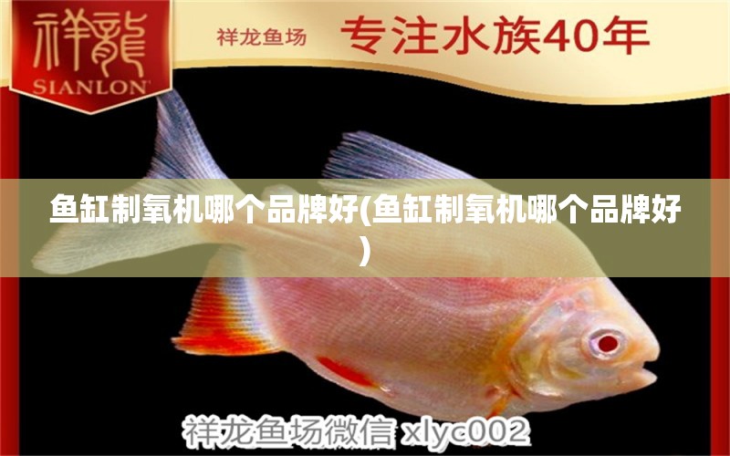 鱼缸制氧机哪个品牌好(鱼缸制氧机哪个品牌好) 红勾银版鱼 第2张