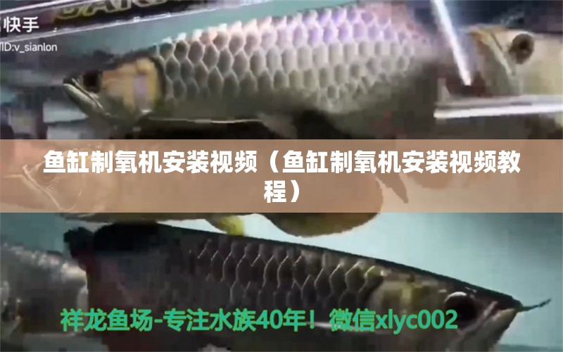 鱼缸制氧机安装视频（鱼缸制氧机安装视频教程）