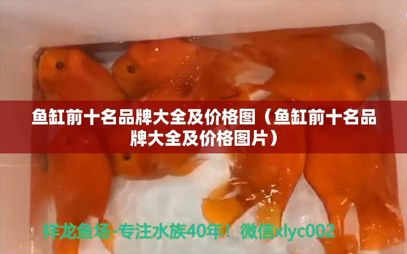 鱼缸前十名品牌大全及价格图（鱼缸前十名品牌大全及价格图片）