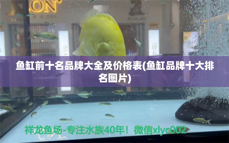 鱼缸前十名品牌大全及价格表(鱼缸品牌十大排名图片)