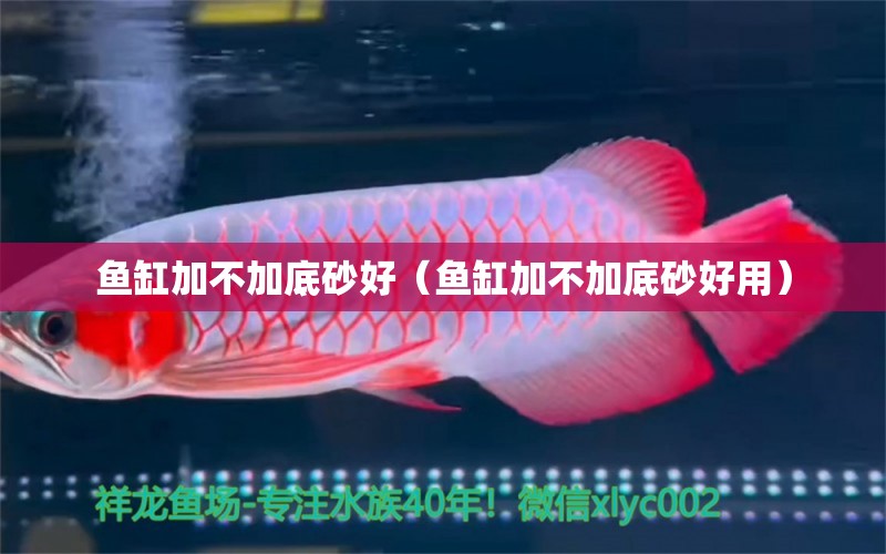 鱼缸加不加底砂好（鱼缸加不加底砂好用） 祥龙水族医院