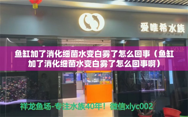 鱼缸加了消化细菌水变白雾了怎么回事（鱼缸加了消化细菌水变白雾了怎么回事啊） 肺鱼