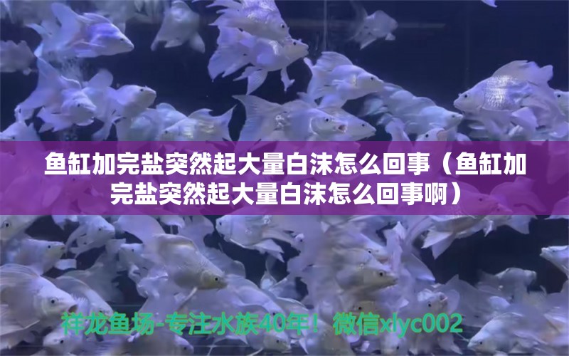 鱼缸加完盐突然起大量白沫怎么回事（鱼缸加完盐突然起大量白沫怎么回事啊） 祥龙水族医院