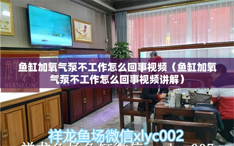 鱼缸加氧气泵不工作怎么回事视频（鱼缸加氧气泵不工作怎么回事视频讲解）