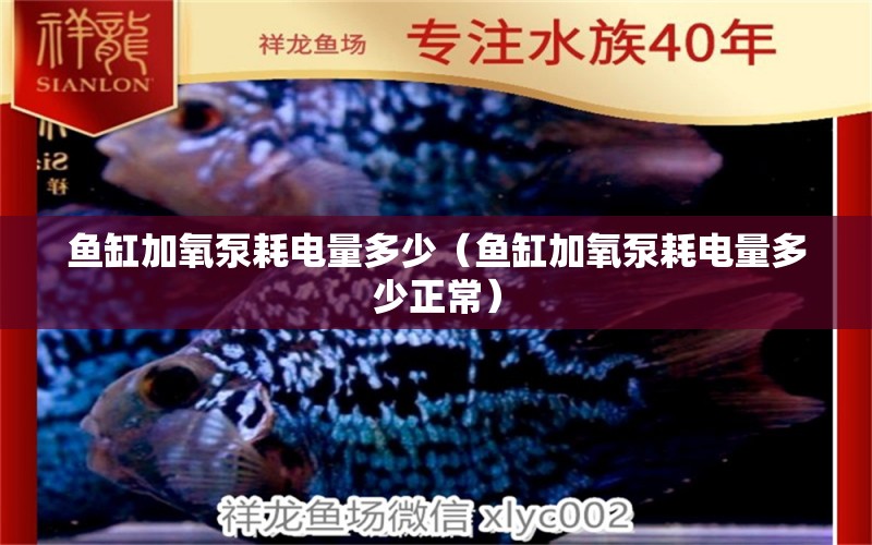 鱼缸加氧泵耗电量多少（鱼缸加氧泵耗电量多少正常） 祥龙水族医院