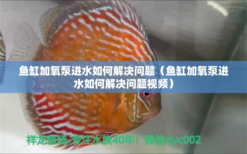 鱼缸加氧泵进水如何解决问题（鱼缸加氧泵进水如何解决问题视频）