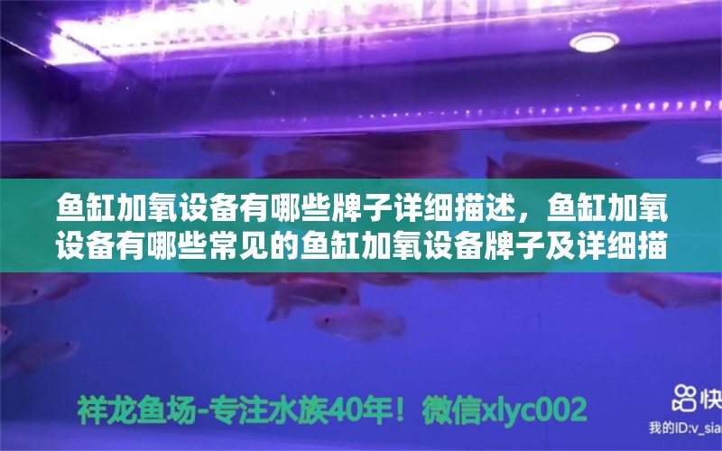 鱼缸加氧设备有哪些牌子详细描述，鱼缸加氧设备有哪些常见的鱼缸加氧设备牌子及详细描述 祥龙鱼场品牌产品 第2张