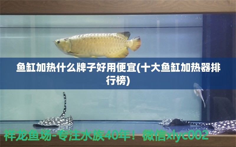 鱼缸加热什么牌子好用便宜(十大鱼缸加热器排行榜) 黑桃A鱼