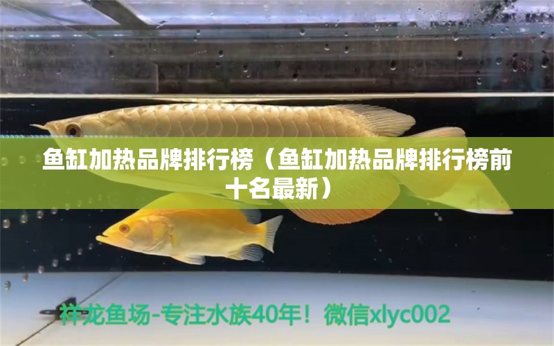 鱼缸加热品牌排行榜（鱼缸加热品牌排行榜前十名最新）