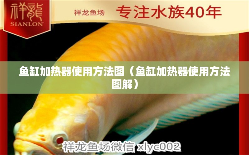 鱼缸加热器使用方法图（鱼缸加热器使用方法图解） 祥龙水族医院