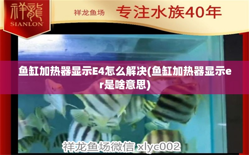 鱼缸加热器显示E4怎么解决(鱼缸加热器显示er是啥意思) 白子关刀鱼苗 第1张