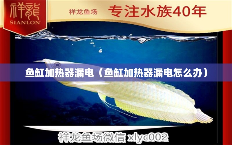 鱼缸加热器漏电（鱼缸加热器漏电怎么办） 祥龙水族医院