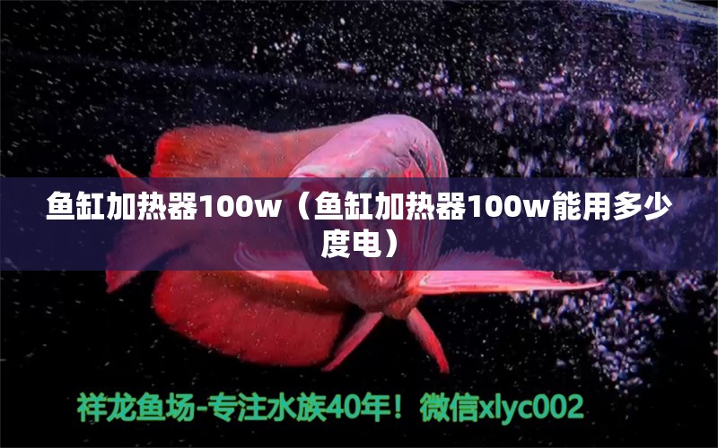 鱼缸加热器100w（鱼缸加热器100w能用多少度电）