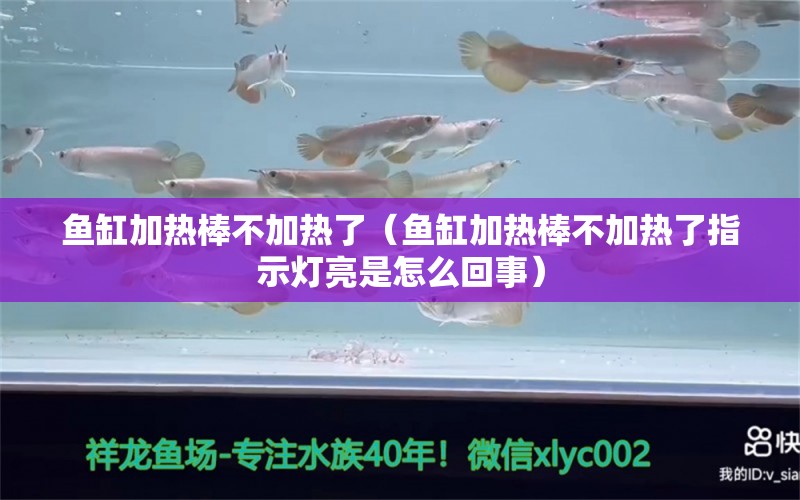 鱼缸加热棒不加热了（鱼缸加热棒不加热了指示灯亮是怎么回事） 冲氧泵