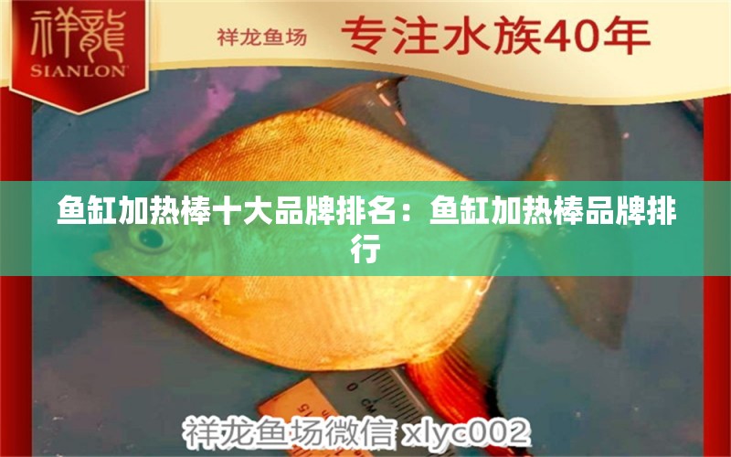 鱼缸加热棒十大品牌排名：鱼缸加热棒品牌排行