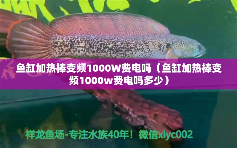 鱼缸加热棒变频1000W费电吗（鱼缸加热棒变频1000w费电吗多少）