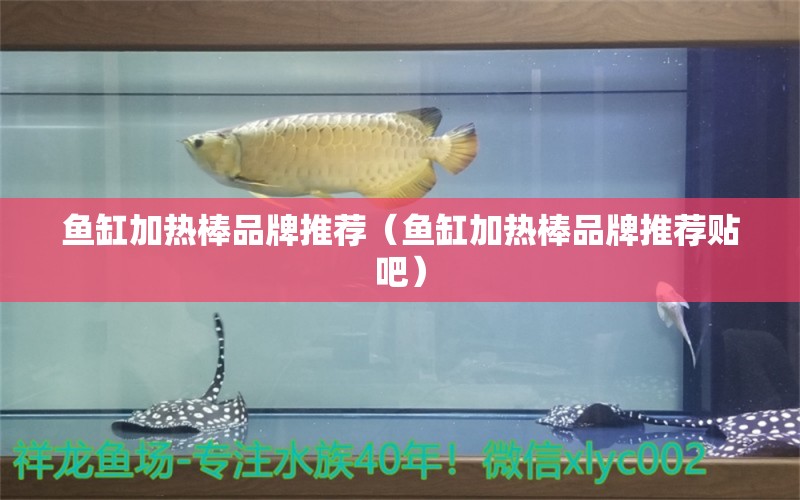 鱼缸加热棒品牌推荐（鱼缸加热棒品牌推荐贴吧） 其他品牌鱼缸