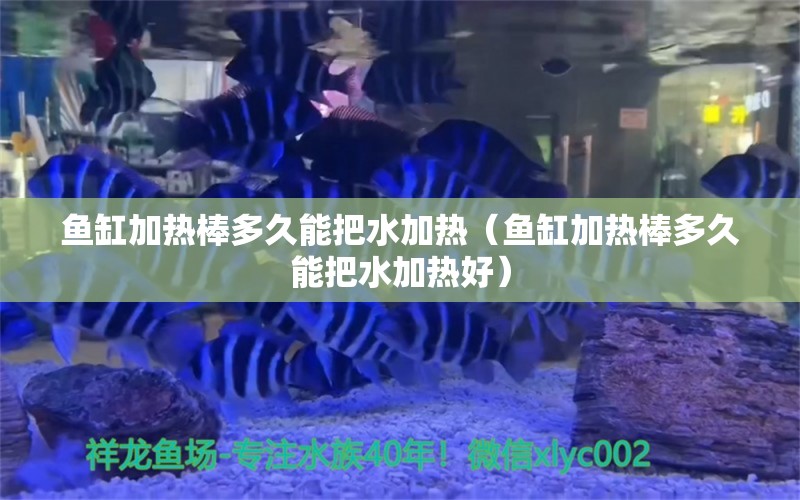 鱼缸加热棒多久能把水加热（鱼缸加热棒多久能把水加热好） 祥龙水族医院