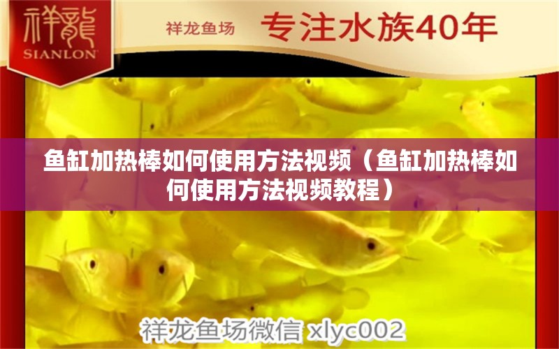 鱼缸加热棒如何使用方法视频（鱼缸加热棒如何使用方法视频教程）