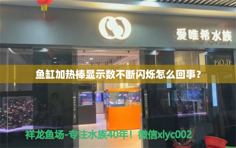 鱼缸加热棒显示数不断闪烁怎么回事？