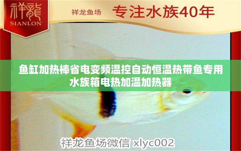 鱼缸加热棒省电变频温控自动恒温热带鱼专用水族箱电热加温加热器