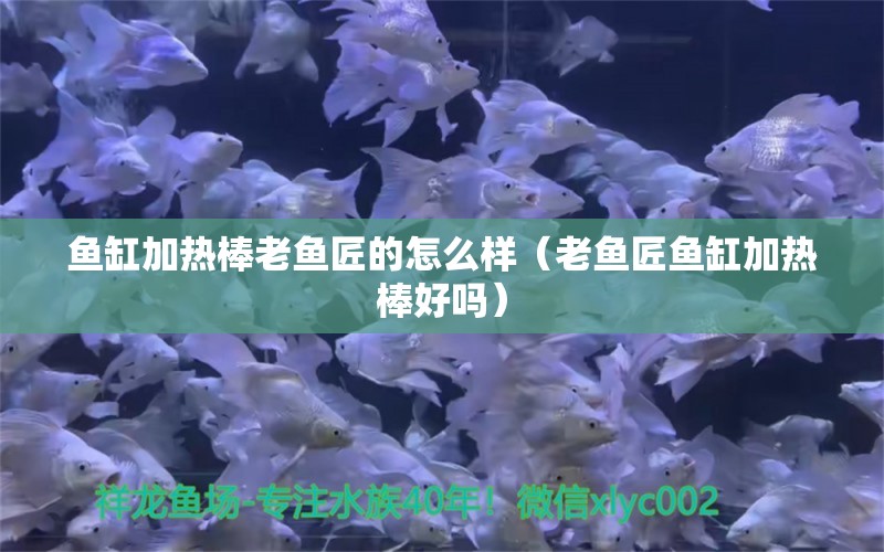 鱼缸加热棒老鱼匠的怎么样（老鱼匠鱼缸加热棒好吗）