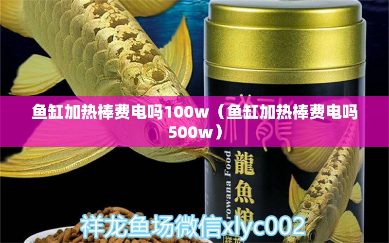 鱼缸加热棒费电吗100w（鱼缸加热棒费电吗500w） 水草