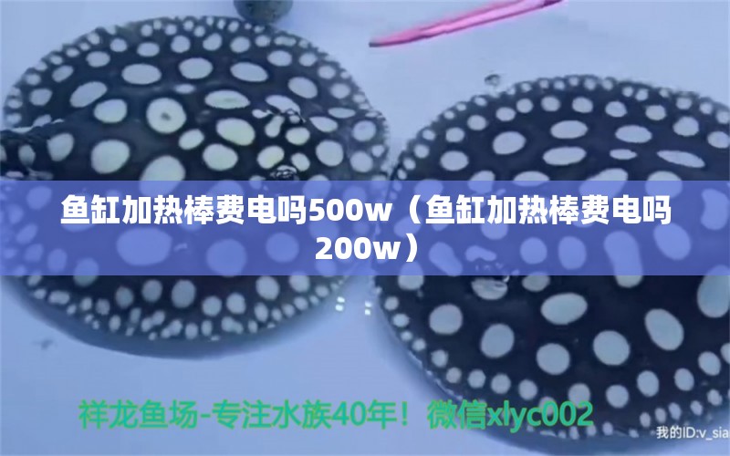 鱼缸加热棒费电吗500w（鱼缸加热棒费电吗200w）