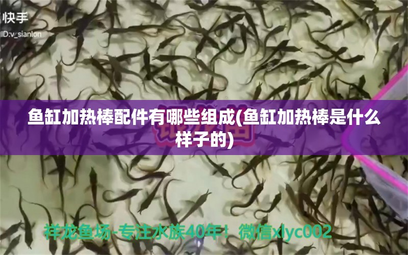 鱼缸加热棒配件有哪些组成(鱼缸加热棒是什么样子的)