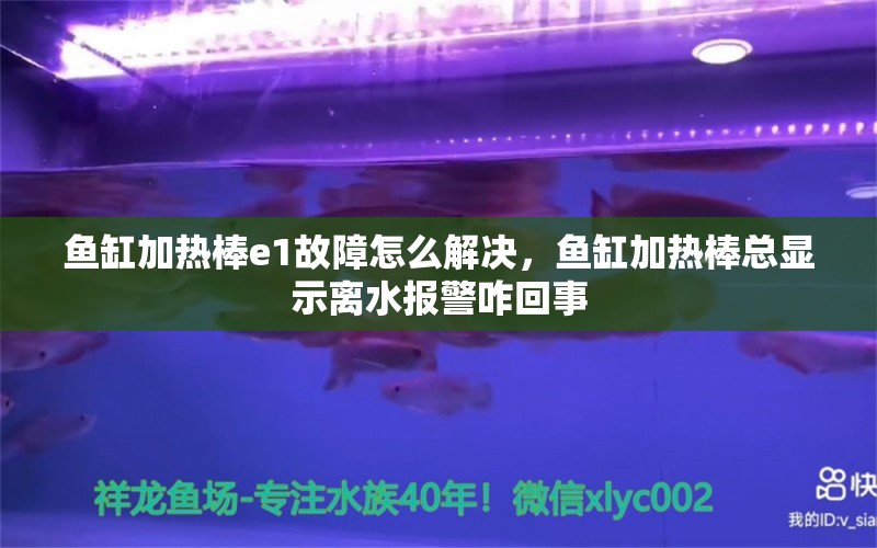 鱼缸加热棒e1故障怎么解决，鱼缸加热棒总显示离水报警咋回事 观赏鱼 第1张