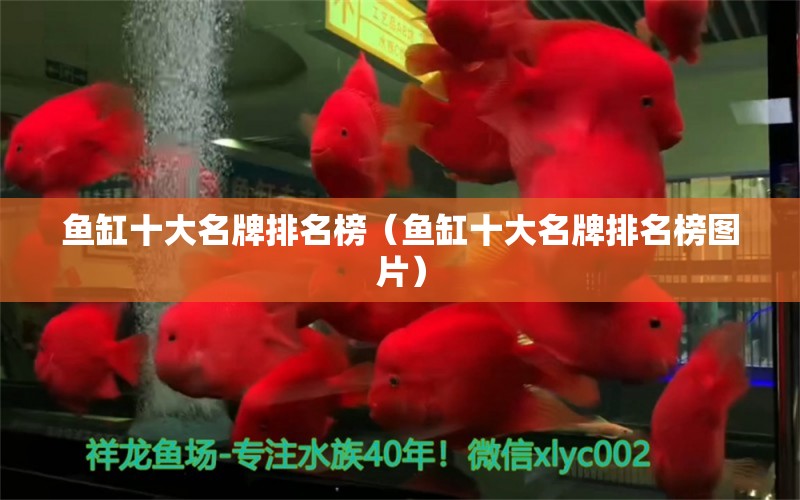 鱼缸十大名牌排名榜（鱼缸十大名牌排名榜图片） 其他品牌鱼缸