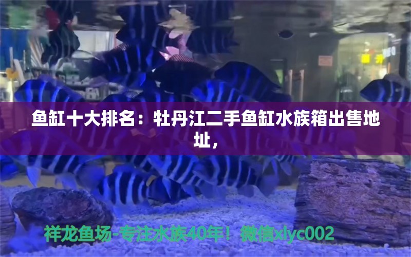 鱼缸十大排名：牡丹江二手鱼缸水族箱出售地址， 鱼缸百科 第2张