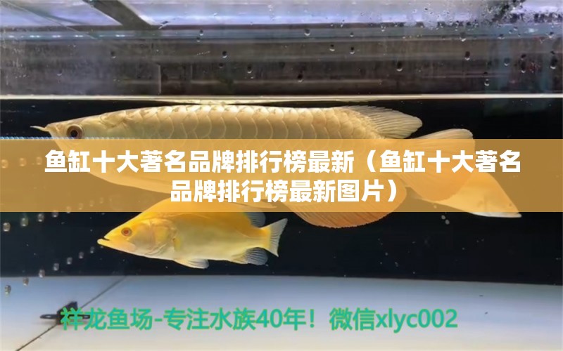 鱼缸十大著名品牌排行榜最新（鱼缸十大著名品牌排行榜最新图片） iwish爱唯希品牌鱼缸