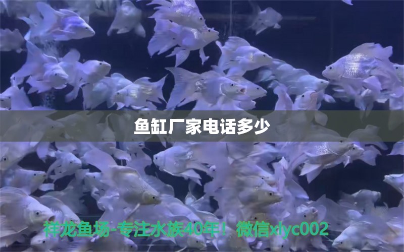 鱼缸厂家电话多少